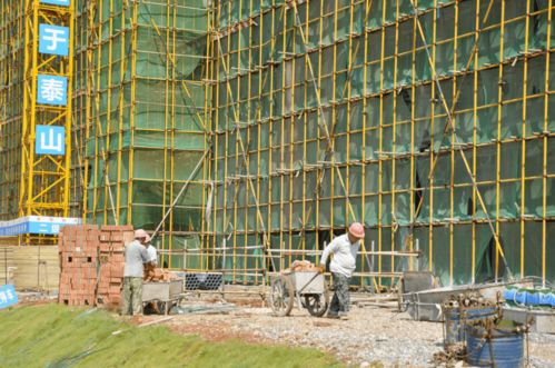 湖南軟件職業學院申本新校區項目建設施工忙 建設工程施工