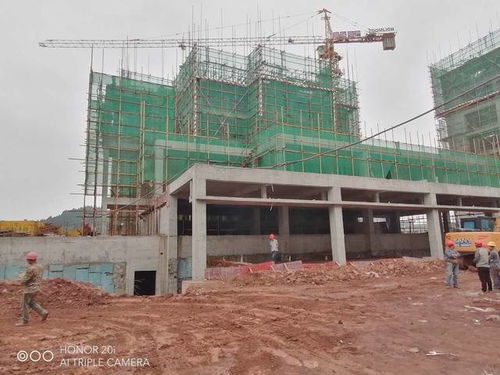 蓬安梧桐大院項目建設工程正緊張有序穩步推進